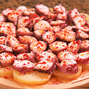 Pulpo